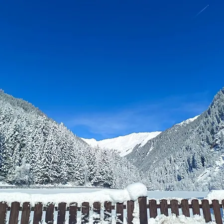 Susanne Rehoboth Beach